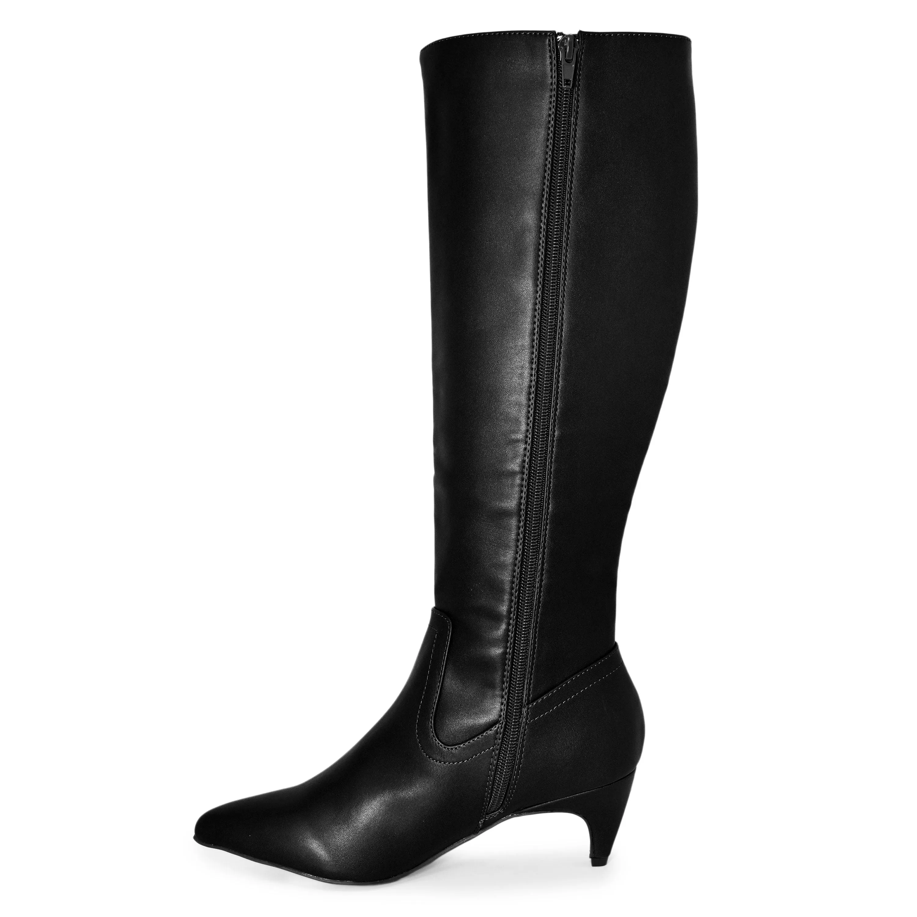 FERA-21A Pointed Toe Kitten Heel Knee High Boots